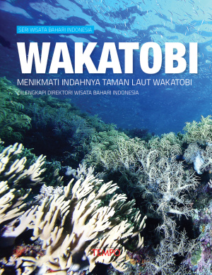 Wisata Bahari Wakatobi: Menikmati Indahnya Taman Laut Wakatobi