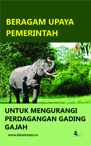 Beragam Upaya Pemerintah Mengurangi Perdagangan Gading Gajah