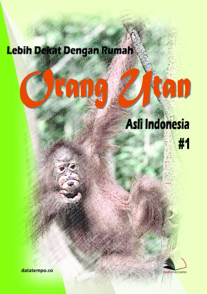 Lebih Dekat Dengan Rumah Orang Utan Asli Indonesia
