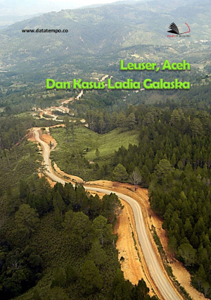 Leuser, Aceh dan Kasus Ladia Galaska