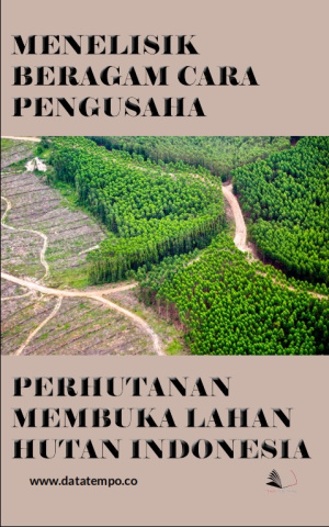 Menelisik Beragam Cara Pengusaha Perhutanan Membuka Lahan Hutan Indonesia
