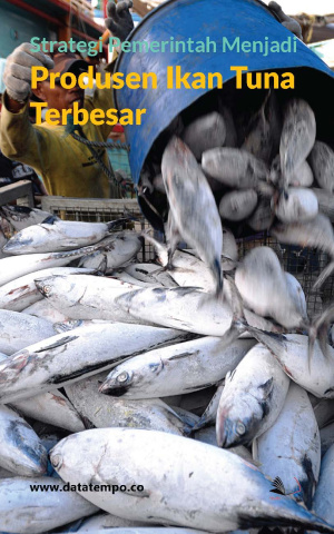 Strategi Pemerintah Menjadi Produsen Ikan Tuna Terbesar