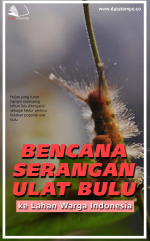 Bencana Serangan Ulat Bulu ke Lahan Warga Indonesia