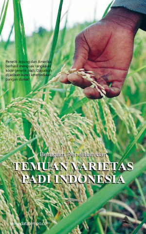 Beragam Penelitian dan Temuan Varietas Padi Indonesia