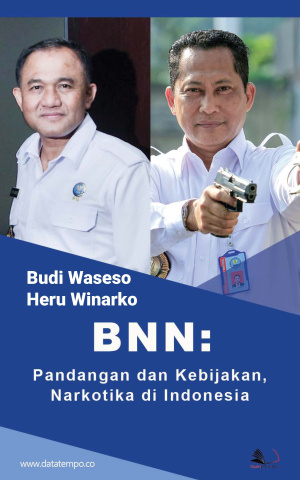BNN: Pandangan dan Kebijakan, Narkotika di Indonesia