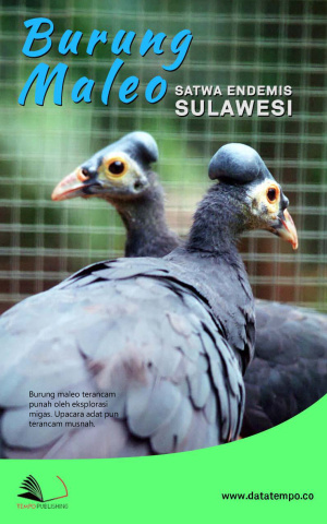 Burung Maleo, Satwa Endemis Sulawesi