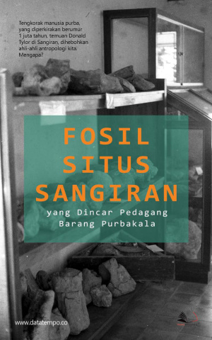 Fosil Situs Sangiran yang Dincar Pedagang Barang Purbakala