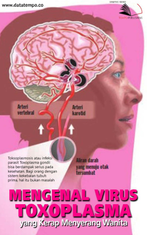 Mengenal Virus Toxoplasma yang Kerap Menyerang Wanita