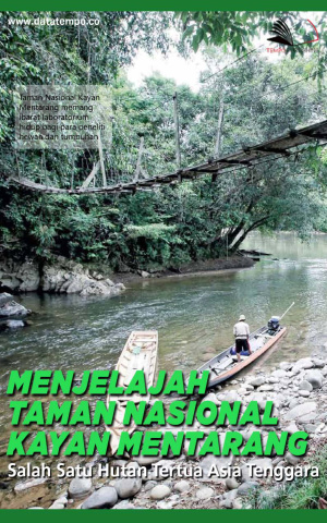 Menjelajah Taman Nasional Kayan Mentarang, Salah Satu Hutan Tertua Asia Tenggara