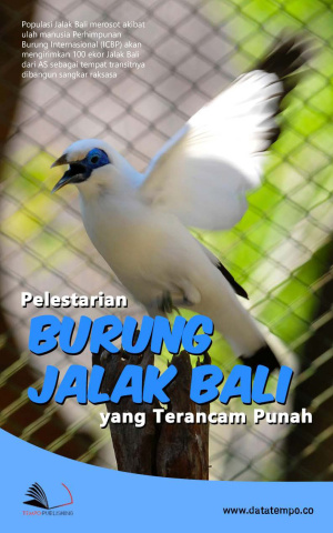 Pelestarian Burung Jalak Bali yang Terancam Punah