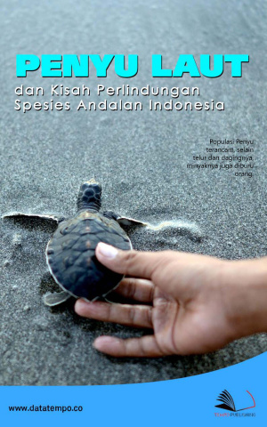 Penyu laut dan Kisah Perlindungan Spesies Andalan Indonesia