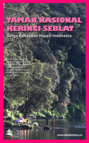 Taman Nasional Kerinci Seblat : Surga Kekayaan Hayati Indonesia