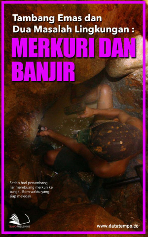 Tambang Emas dan Dua Masalah Lingkungan : Merkuri dan Banjir