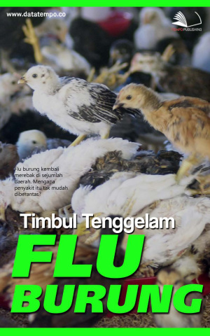 Timbul Tenggelam Flu Burung