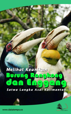 Melihat Keunikan Burung Ranggkong dan Enggang Satwa Langka Asal Kalimantan