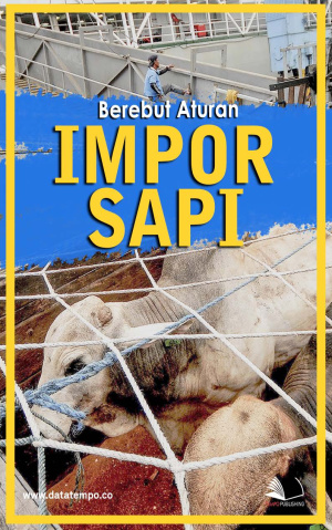 Berebut Aturan Impor Sapi