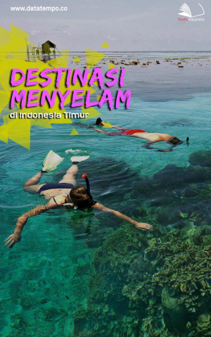 Destinasi Menyelam di Indonesia Timur