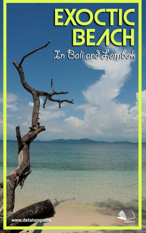 Exotic Beach In Bali and Lombok