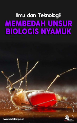 Ilmu dan Teknologi: Membedah Unsur Biologis Nyamuk