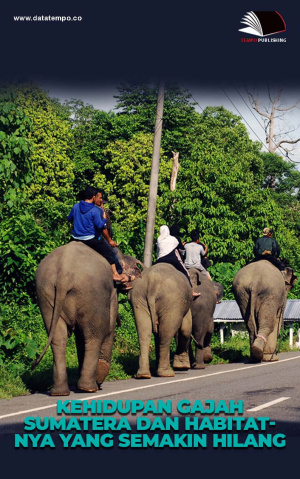 Kehidupan Gajah Sumatera dan Habitatnya yang Semakin Hilang