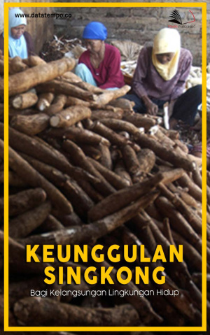 Keunggulan Singkong Bagi Kelangsungan Lingkungan Hidup