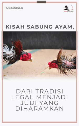 Kisah Sabung Ayam, dari Tradisi Legal Menjadi Judi yang Diharamkan