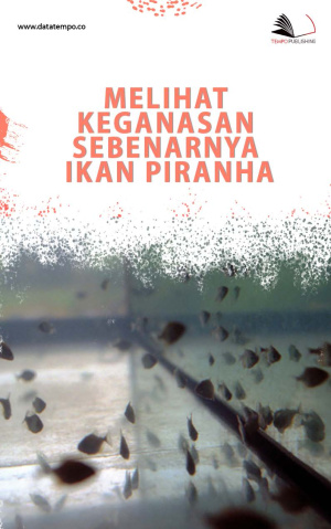 Melihat Keganasan Sebenarnya Ikan Piranha
