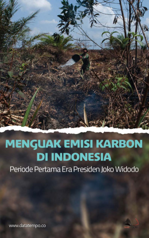 Menguak Emisi Karbon di Indonesia Periode Pertama Era Presiden Joko Widodo