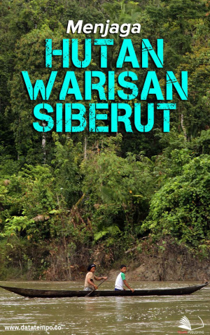 Menjaga Hutan Warisan Siberut