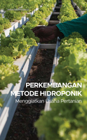 Perkembangan Metode Hidroponik Menggiatkan Usaha Pertanian