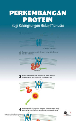 Perkembangan Protein Bagi Kelangsungan Hidup Manusia