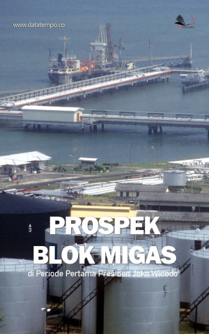 Prospek Blok Migas di Periode Pertama Presiden Joko Widodo