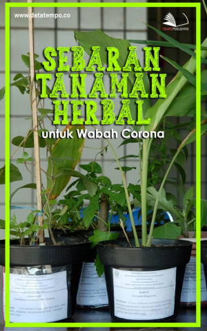 Sebaran Tanaman Herbal untuk Wabah Corona