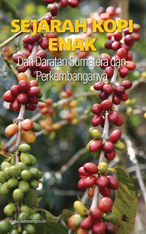 Sejarah Kopi Enak dari Daratan Sumatera dan Perkembanganya