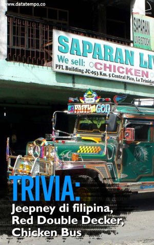 Trivia: Jeepney di Filipina, Red Double Decker, Chicken Bus