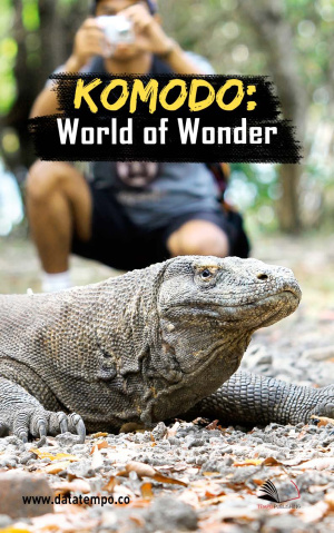 Komodo: World of Wonder