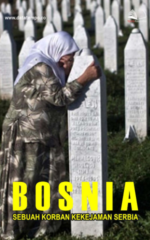 Bosnia, Sebuah Korban Kekejaman Serbia
