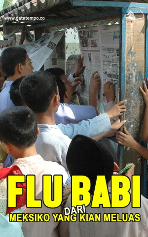 Flu Babi dari Meksiko yang Kian Meluas
