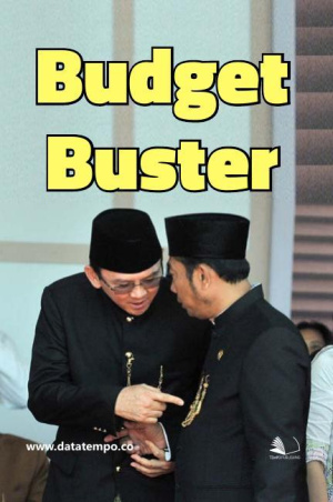 Budget Buster