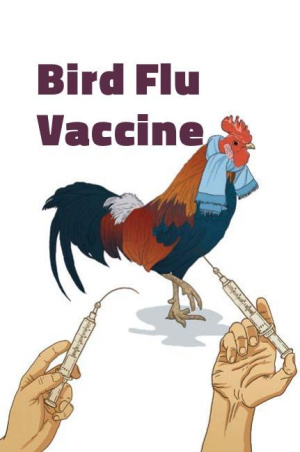 Bird Flu Vaccine