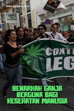Benarkah Ganja Berguna Bagi Kesehatan Manusia