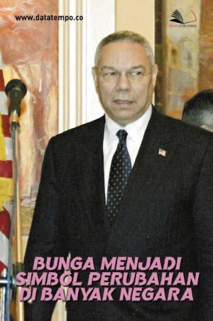 Bunga Menjadi Simbol Perubahan di Banyak Negara