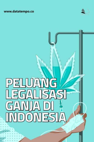 Peluang Legalisasi Ganja di Indonesia