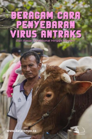 Beragam Cara Penyebaran Virus Antraks, Dari Pasar Tradisional Hingga Modern