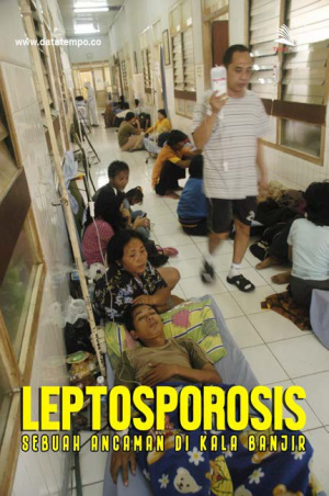 Leptospirosis, Sebuah Ancaman di Kala Banjir