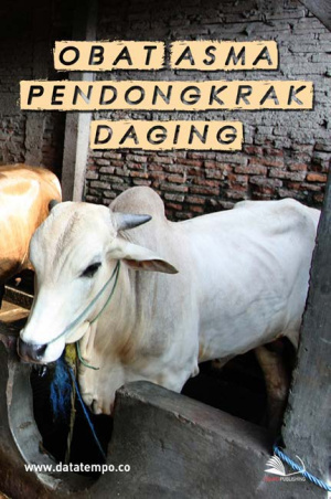 Obat Asma Pendongkrak Daging