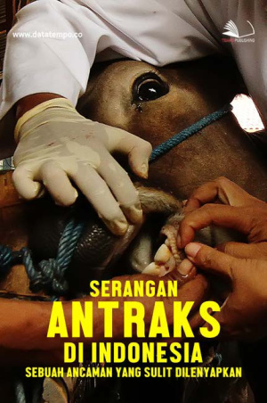 Serangan Antraks di Indonesia_ Sebuah Ancaman yang Sulit Dilenyapkan