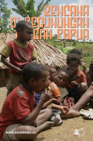 Bencana di Pegunungan Tengah, Papua