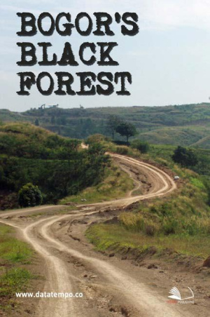 Bogor's Black Forest