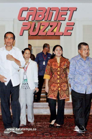 Cabinet Puzzle